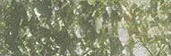 HOLBEIN | ARTISTS' COLORED PENCIL™ kleurpotlood — los, Olive green