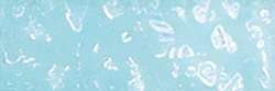 HOLBEIN | ARTISTS' COLORED PENCIL™ kleurpotlood — los, Ice green