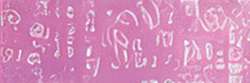 HOLBEIN | ARTISTS' COLORED PENCIL™ kleurpotlood — los, Rose grey