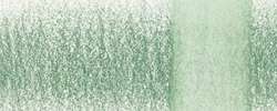 DERWENT | CHROMAQUA aquarelpotlood — los, potlood, Cactus 1530