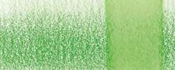 DERWENT | CHROMAQUA aquarelpotlood — los, potlood, Jungle green 1740