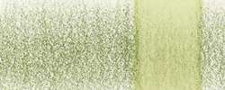 DERWENT | CHROMAQUA aquarelpotlood — los, potlood, Olivine 1801