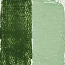 LEROUX | Couleurs Extra-Fines olieverf — los, tube 60 ml, Green earth light