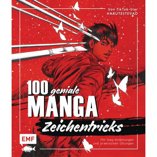 100 geniale Manga-Zeichentricks 