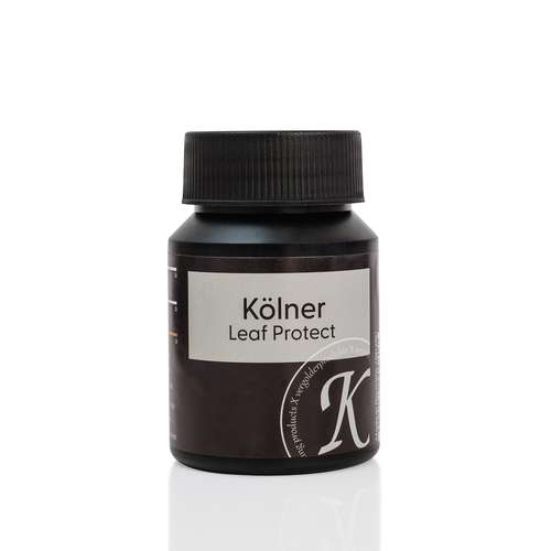 Kölner LEAF PROTECT - vernis 