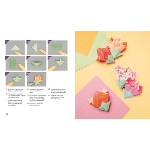 morepic-5